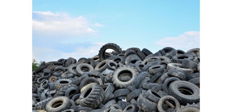 Chihuahua Collects 80,000 Tyres