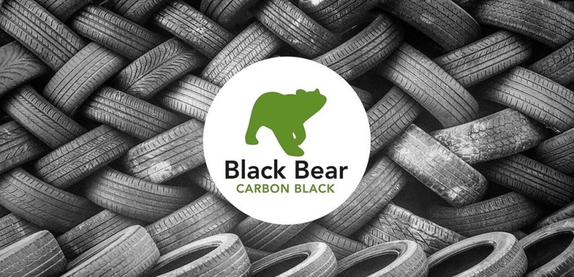 Black Bear