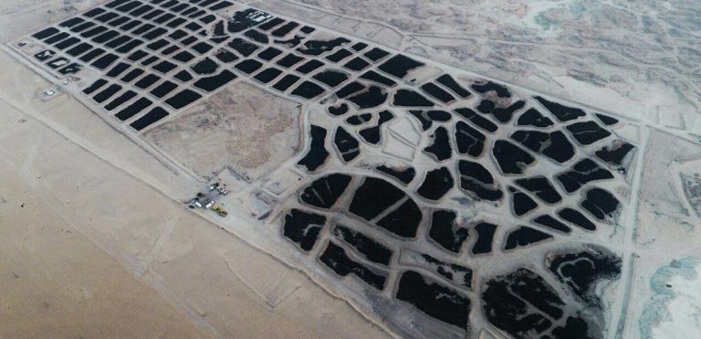 Kuwait Tyre Dumping Still an Issue
