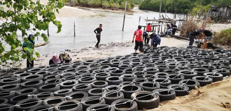 Tyres Fight Erosion and Save Turtles