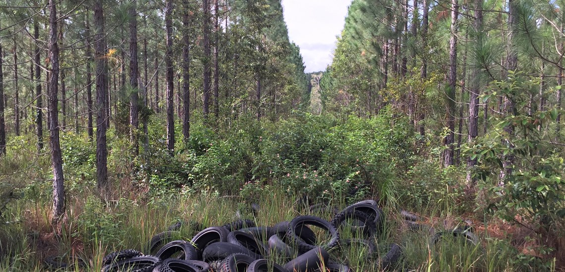 Fined for Dumping Tyres