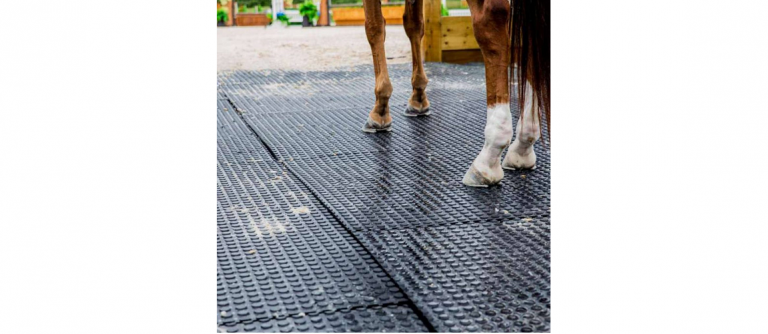 Tire Stewardship BC Focus on NWR Red Barn