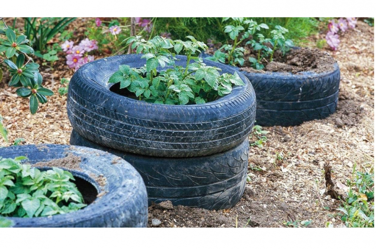 Are Tyre Planters Safe For Food Growing?