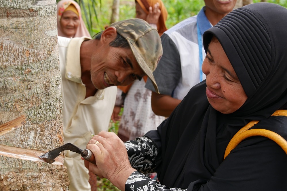 Continental Sustainable Rubber