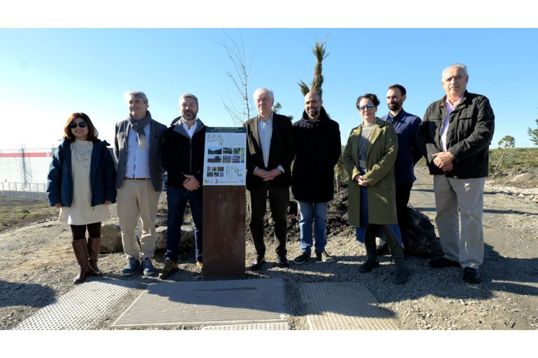 Continental Forest in Spain Highlights the Drive to Sustainability  