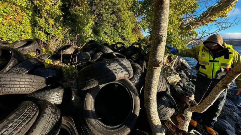 Tyres Dumped by Loch Ness