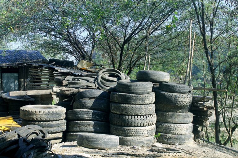 Recykl  Buys Lithuanian APG