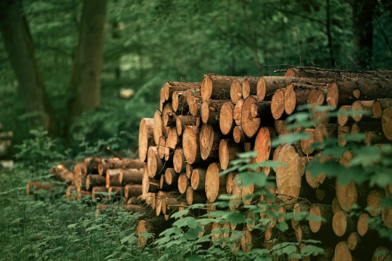 Circular Rubber Platform to Host Technical Webinar on EUDR